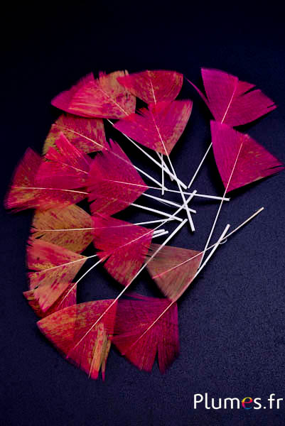 Petali in piume - 6-8 cm x 3-4 cm - curry-fucsia